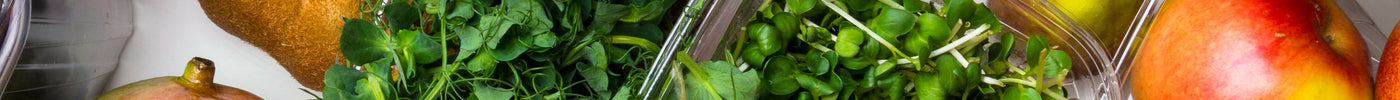 Nutrient-Dense Microgreen Salad with Mango and Avocado