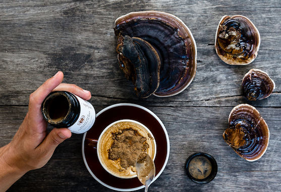 Unlock the Power of Mushrooms