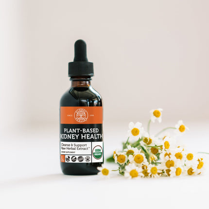 Plant-Based Kidney Health
